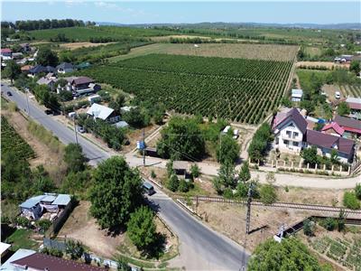 Teren de vanzare in Panciu 21.228 mp